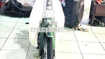 ❤️ Honda Cub nhật 50cc hssv ko cần bằng lái ♥️