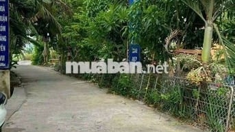 Bán gấp .Đất ngay  kế chợ Cần Giuộc . Mặt tiền đường 7m