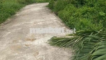 Cần bán lô đất view đồng tại Yến Nê Hòa Tiến