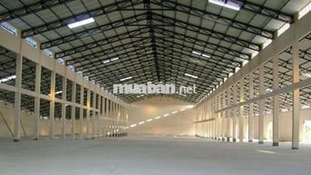 BÁN NHÀ XƯỞNG 3500M2 - KCN PHÚ MỸ 1