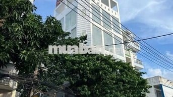 Bán tòa MT Trần Văn Kiểu, DT 7x16 CN 112m2, 6 Tầng 539m2 Sàn, 22 Tỷ TL