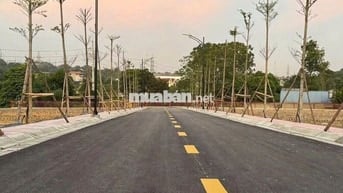 Đất đẹp chính chủ dễ thanh khoản, không lo ngập