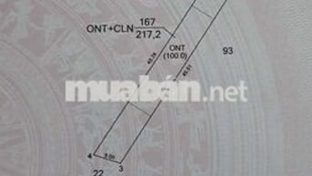 Bán lô đất Thanh Tuyền, Dầu Tiếng, Bình Dương. Nay Thanh An, HCM