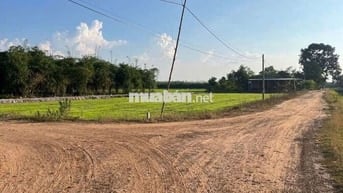 Kẹt Vốn Bán Gấp Lỗ Lô Đất full Thổ 5x35m