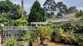 RẺ NHẤT MẶT TIỀN ĐƯỜNG LỚN TỨ QUÝ - CHỈ 220TR/M NGANG ĐẤT SẴN THỔ CƯ