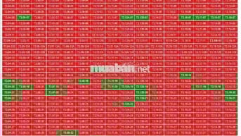 Nhà ở Xã hội Tại Trung Tâm TP Mới