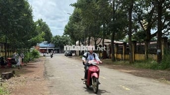 📢📢 Đất Mặt Tiền Đường Nay Thông - Ngay Đại học Tây Nguyên -.