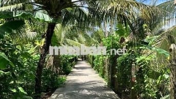 Đất Mỹ Hưng, Mỹ Phong 4m5 x 42 cách ĐH90A chỉ 150m hẻm ô tô
