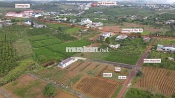 ĐẤT ĐẸP GIÁ ĐẦU TƯ HẺM LÝ THÁI TỔ FULL THỔ CƯ