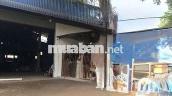 BÁN XƯỞNG MT 15 X 60M TÂN HIỆP HÓC MÔN SHR FUll THỔ CƯ ĐƯỜNG XE CỒNG