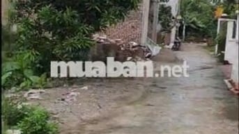 BÁN ĐẤT - VĂN GIANG - HƯNG YÊN - Ô TÔ - SÁT VÀNH ĐAI 4