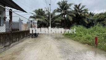 Bán đất thô cư xã đông thạnh hóc môn