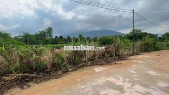 Bán 500m2 thổ cư sổ riêng,xã Xuân Lộc, Đồng Nai, view núi Chứa Chan
