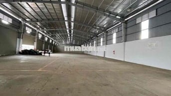 Cho Thuê Kho 650m2 - Có đầy Đủ PCCC