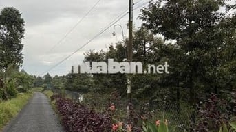 Đất mặt tiền đường nhựa 55x27m Nhơn Phú, Mang Thít, Vĩnh Long, 2tr/m2