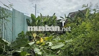🔥🔥 [QUẬN 7] BÁN ĐẤT THỔ CƯ CHÍNH CHỦ – GIÁ TỐT – VỊ TRÍ TIỀM NĂNG