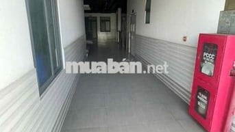 Cho thuê căn hộ mini  sách sẽ, thoáng mát.