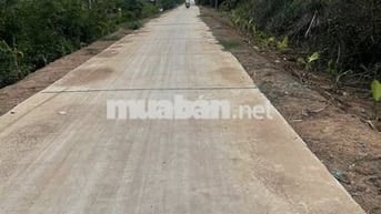 Chú cần bán gấp 7000m đất lúa Bến Lức