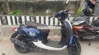 xe scoopy 50cc hoc sinh di không cần bằng lái