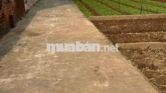🚀🚀🚀 Siêu phẩm ĐỐI DIỆN TRƯỜNG MẦM NON Thư phú - Thường Tín - Hà Nội