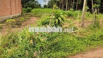 Đất thổ cư vị trí ngay cổng KCN An Linh, giá 390 triệu bao phí ra sổ.