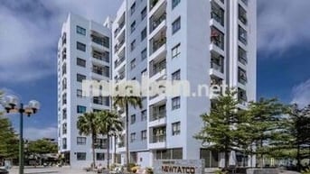 Chính chủ bán chung cư newtatco lai xá