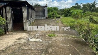BÁN ĐẤT THÁI MỸ, CỦ CHI - 3 MẶT TIỀN FULL THỔ CƯ 166M²