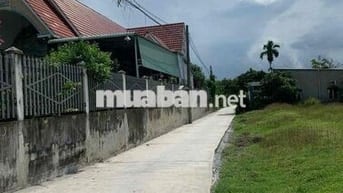 Lô góc 600m2 gần Vinhome Hậu nghĩa