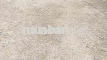 Cần Bán Nhà Sổ Riêng Chính Chủ Tân Vĩnh Hiệp (cũ) Đối Diện THCS