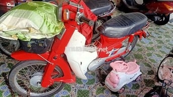Xe cub DD đỏ