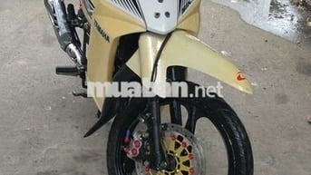 Sirius kiểng có đồ chơi