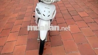 Xe wave 50cc