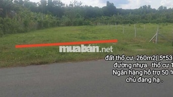 Kẹt tiền cần bán thu hồi vốn . đất tại bình dương.260m2. thổ cư 100