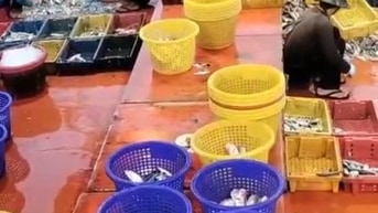 Tuyển 5 lao động nam làm việc trên biển tại Kiên Giang 