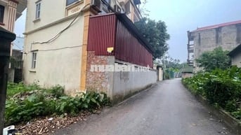Bán gấp Đất Ngũ Hiệp - Đông Mỹ ô tô tránh ,phân lô kinh doanh  4.5 tỷ
