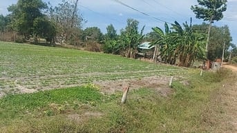 ĐẤT THỔ CƯ CHÂU THÀNH TÂY NINH