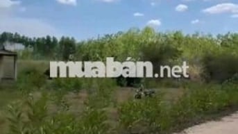 Chính chủ cần bán hạ giá 500trieu , giá cũ 6tỷ , giá mới 5,5tỷ