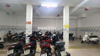 VƯỜN LÀI - DOANH THU 90 TRIỆU/1 THÁNG - NGANG 12M - 21.5 TỶ