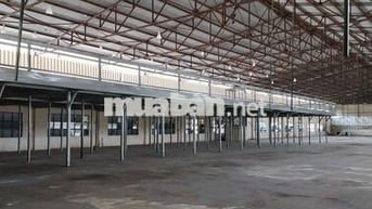 Mặt bằng SX-KD khoảng 15.000m2 Đường Trần Đại Nghĩa, Bình Chánh cũ