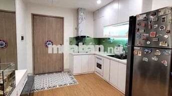 Căn hộ cao cấp Vinhomes smart city - phân khúc hiếm - 55M2 - 4.x TỶ