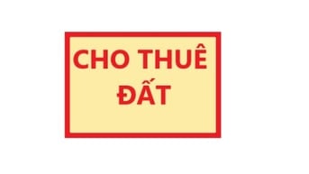 Cho thuê đất thổ cư diện tích 161m², TX22, quận 12, TP.Hồ Chí Minh