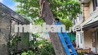 Chính chủ cần bán nhà phường Dĩ An