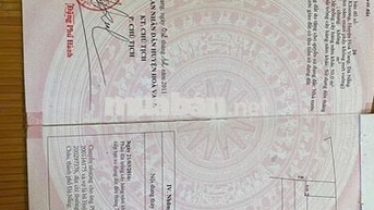 Bán đất thích hợp làm nhà vườn. Định cư