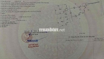 Nhà 3 tầng, kiệt 134 Nguyễn Huệ, Tp Huế (đối diện trường ĐH Khoa học)