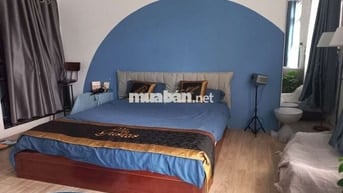 Cho thuê 2 phòng căn hộ mini đầy đủ tiện ích trong trung tâm q1