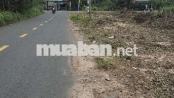 CẦN THANH LÍ LÔ GÓC MẶT TIỀN KINH DOANH KHU CÔNG NGHIỆP BÀU BÀNG