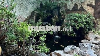 Cho thuê nhà nguyên căn Nguyễn Văn Linh - Quận 7