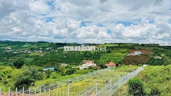 Đất vùng ven Đà Lạt từ 600 triệu - 1 tỷ 350 triệu