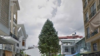 ⭐️Bán nhà nát DT:10x15m, vị tí đẹp hẻm xe hơi 6m Đường Số 5, P17.