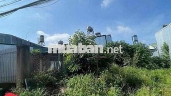 Đất hẻm ymoal chưa qua vành đai rẻ nhất Tân Lợi